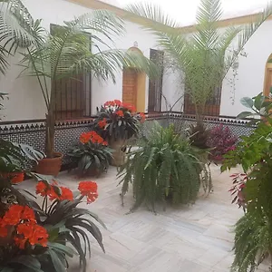 Casa Tipica Cordobesa Cordoue